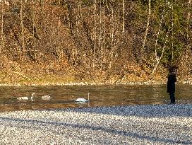 Walk Along The River Isar In Bad Toelz