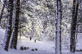 Winter Hits Northern Poland