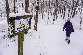 Winter Hits Northern Poland