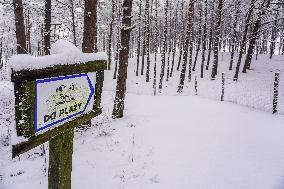 Winter Hits Northern Poland