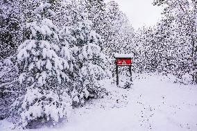 Winter Hits Northern Poland