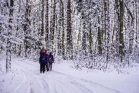 Winter Hits Northern Poland