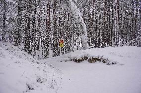 Winter Hits Northern Poland