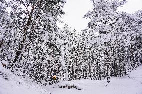 Winter Hits Northern Poland