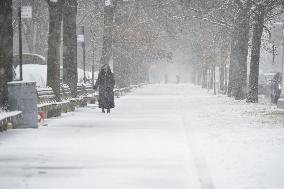 Snow In NYC