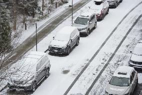 Snow In NYC