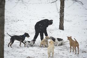 Snow In NYC