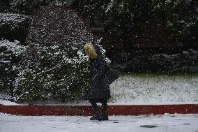 Snow In NYC