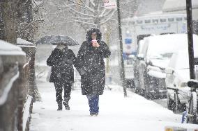 Snow In NYC