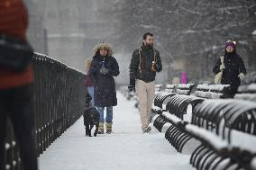 Snow In NYC