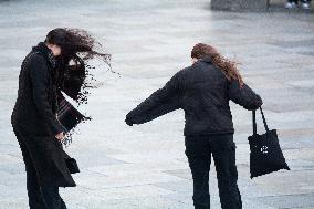 Windy Day In Cologne