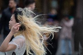 Windy Day In Cologne