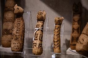 Egyptian Museum in Turin Celebrates 200 Anniversary since its Foundation