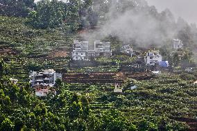 Daily Life In Dindigul