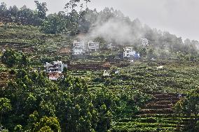 Daily Life In Dindigul