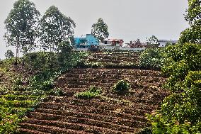 Daily Life In Dindigul