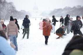 Snowball Fight On National Mall