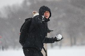 Snowball Fight On National Mall