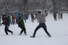 Snowball Fight On National Mall