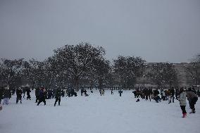 Snowball Fight On National Mall