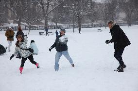 Snowball Fight On National Mall