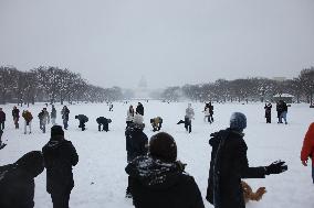 Snowball Fight On National Mall