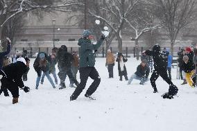 Snowball Fight On National Mall