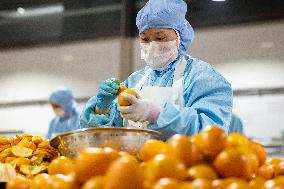 China Navel Oranges Manufacturing Industry