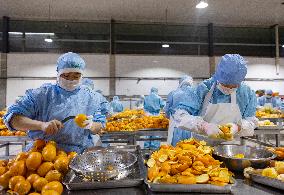 China Navel Oranges Manufacturing Industry