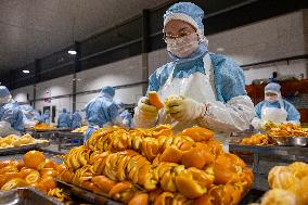 China Navel Oranges Manufacturing Industry