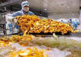 China Navel Oranges Manufacturing Industry