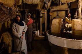 Living Nativity In Palombaio