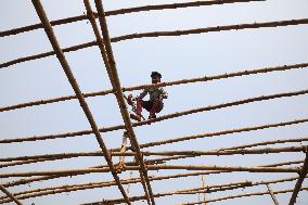 Makar Sankranti", In Kolkata,India,-07 Jan 2025