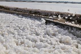 Salt Foam Formation In Margherita Di Savoia Salt Pans