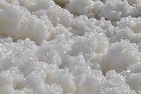 Salt Foam Formation In Margherita Di Savoia Salt Pans