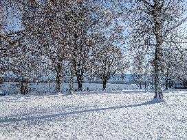 Winter At The Bavarian Lake Staffelsee