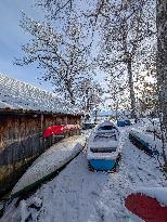 Winter At The Bavarian Lake Staffelsee