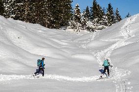 Cross-country Skiers In The Bavarian Mittenwald Area