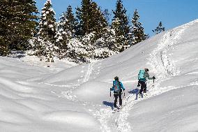 Cross-country Skiers In The Bavarian Mittenwald Area