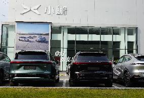 China New Energy Vehicles Retail Sales Reach 11 Million Units in 2024