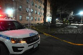 43-year-old Jennira Roundtree Dead After Being Stabbed Multiple Times At 820 Henderson Avenue In Staten Island New York City