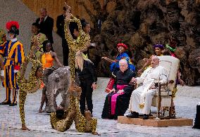 Pope Francis Leads His Weekly General Audience In The Paul VI Hall