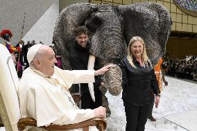 Pope Francis During His Weekly General Audience - Vatican