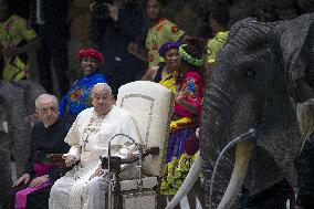 Pope Francis During His Weekly General Audience - Vatican