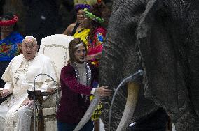 Pope Francis During His Weekly General Audience - Vatican