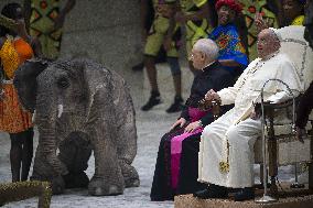 Pope Francis During His Weekly General Audience - Vatican