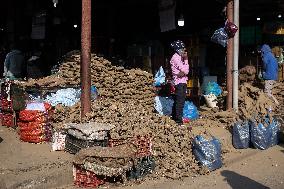 Yams For Maghe Sankranti Festival In Nepal.