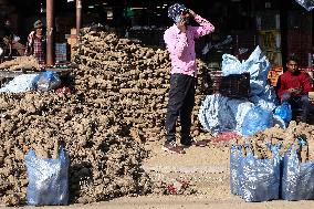 Yams For Maghe Sankranti Festival In Nepal.