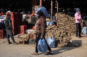 Yams For Maghe Sankranti Festival In Nepal.