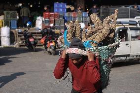 Yams For Maghe Sankranti Festival In Nepal.